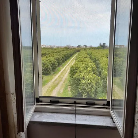 Casa Anna * Casa Boscarelli