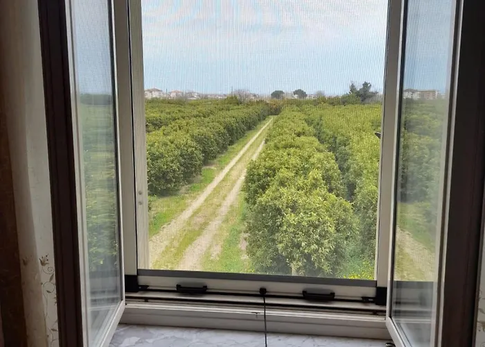 Casa Anna * Casa Boscarelli